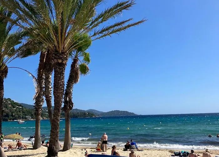 Terra Alba シャレー