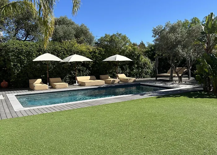 シャレー Terra Alba *