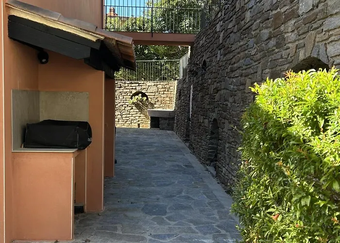 シャレー Terra Alba *